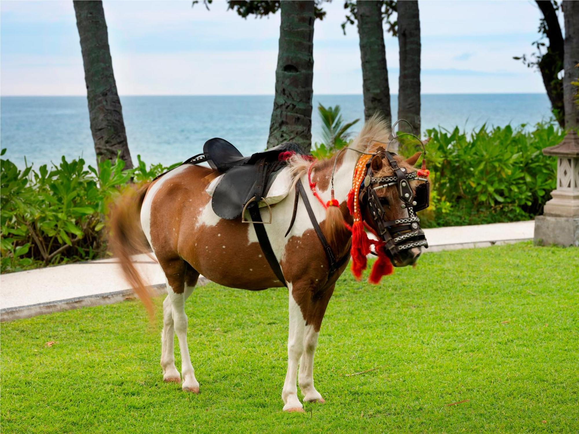 Mangsit Suites By Holiday Resort Lombok エクステリア 写真
